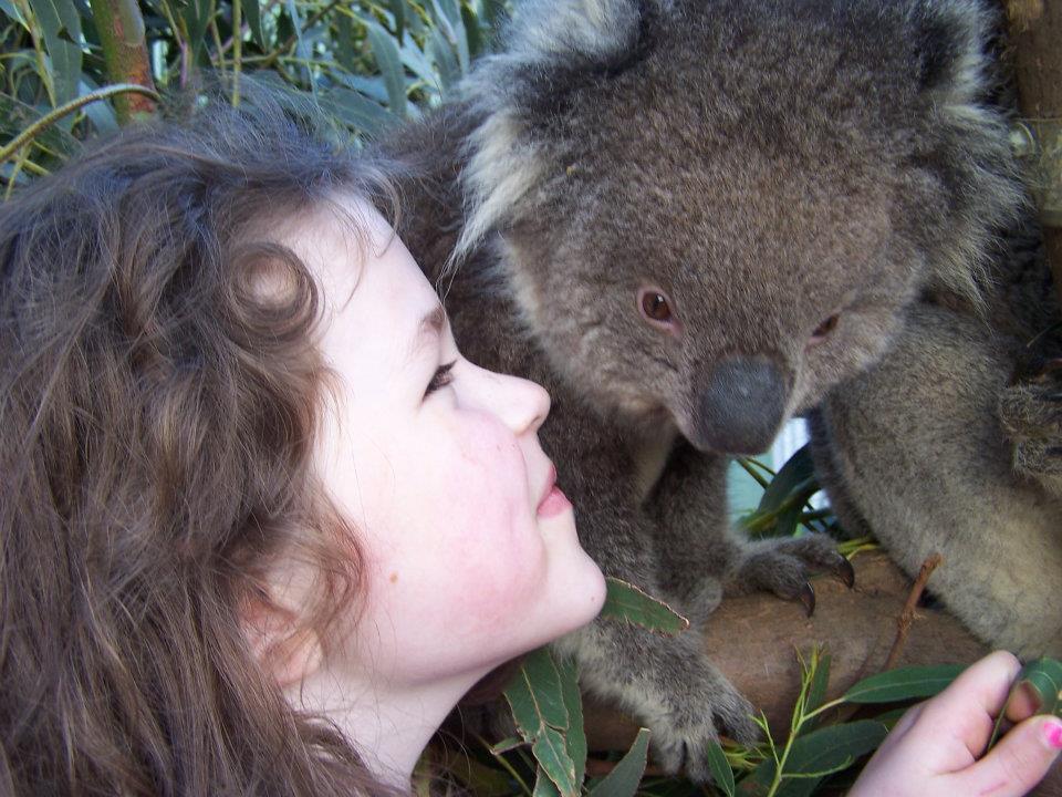 Fauna Australia Wildlife Retreat Lavers Hill Εξωτερικό φωτογραφία
