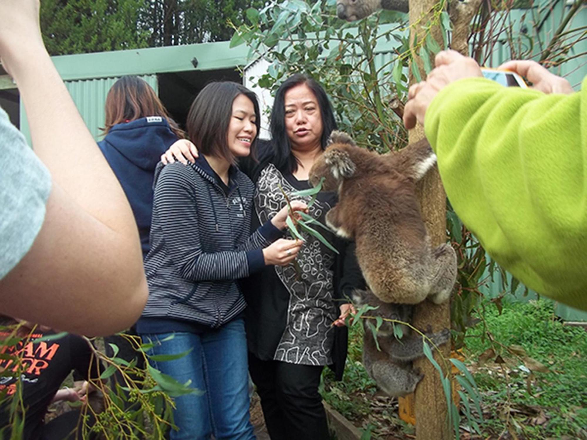 Fauna Australia Wildlife Retreat Lavers Hill Εξωτερικό φωτογραφία
