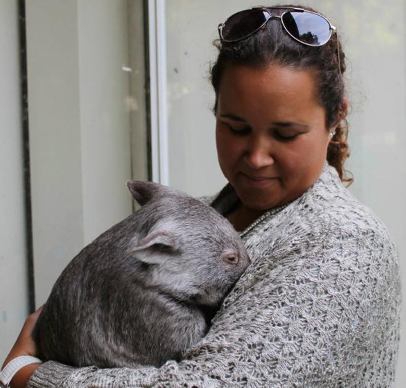 Fauna Australia Wildlife Retreat Lavers Hill Εξωτερικό φωτογραφία