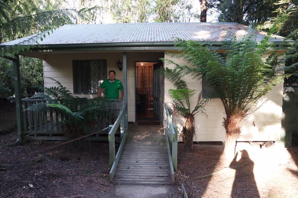 Fauna Australia Wildlife Retreat Lavers Hill Εξωτερικό φωτογραφία