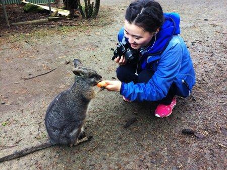 Fauna Australia Wildlife Retreat Lavers Hill Εξωτερικό φωτογραφία