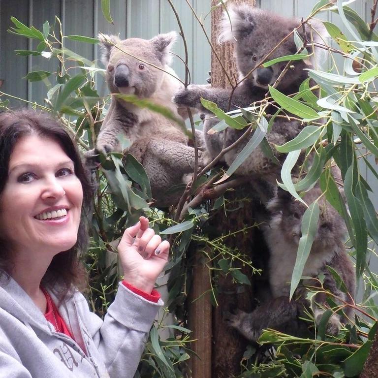 Fauna Australia Wildlife Retreat Lavers Hill Εξωτερικό φωτογραφία