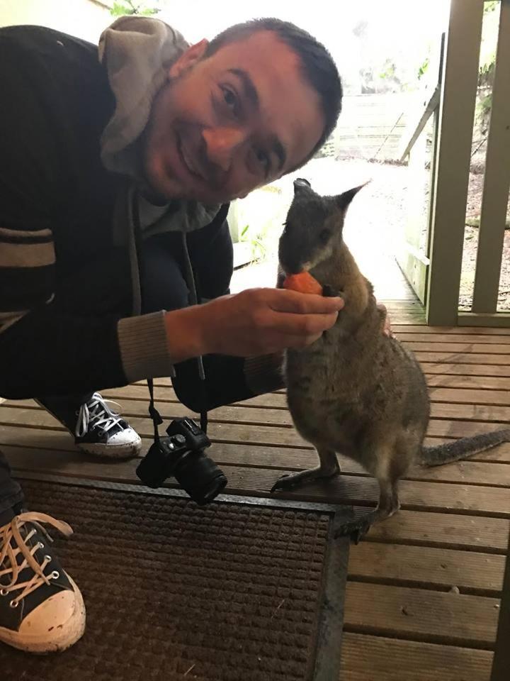 Fauna Australia Wildlife Retreat Lavers Hill Εξωτερικό φωτογραφία