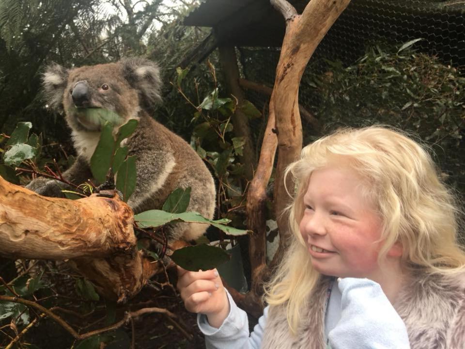 Fauna Australia Wildlife Retreat Lavers Hill Εξωτερικό φωτογραφία